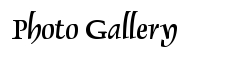 Photo Gallery
